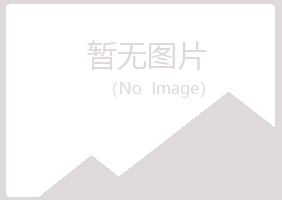 南山区冰夏美容有限公司